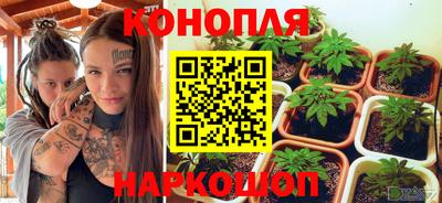 а пвп мука Кингисепп
